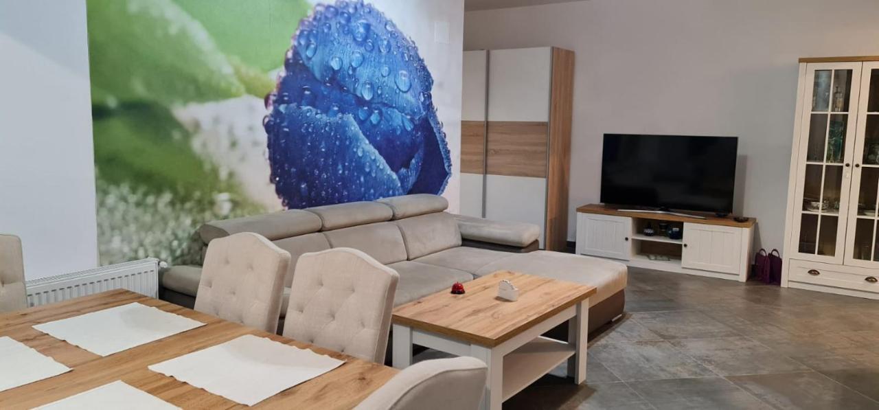 Apartament Fiore Blu ナボダリ エクステリア 写真
